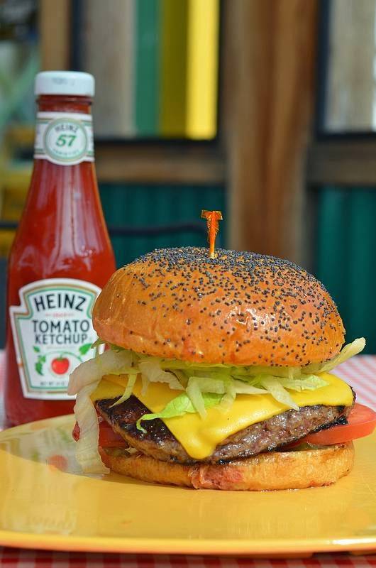 Chips Old Fashioned Hamburgers | restaurant | 6115 La Vista Dr, Dallas, TX 75214, USA | 4693340785 OR +1 469-334-0785