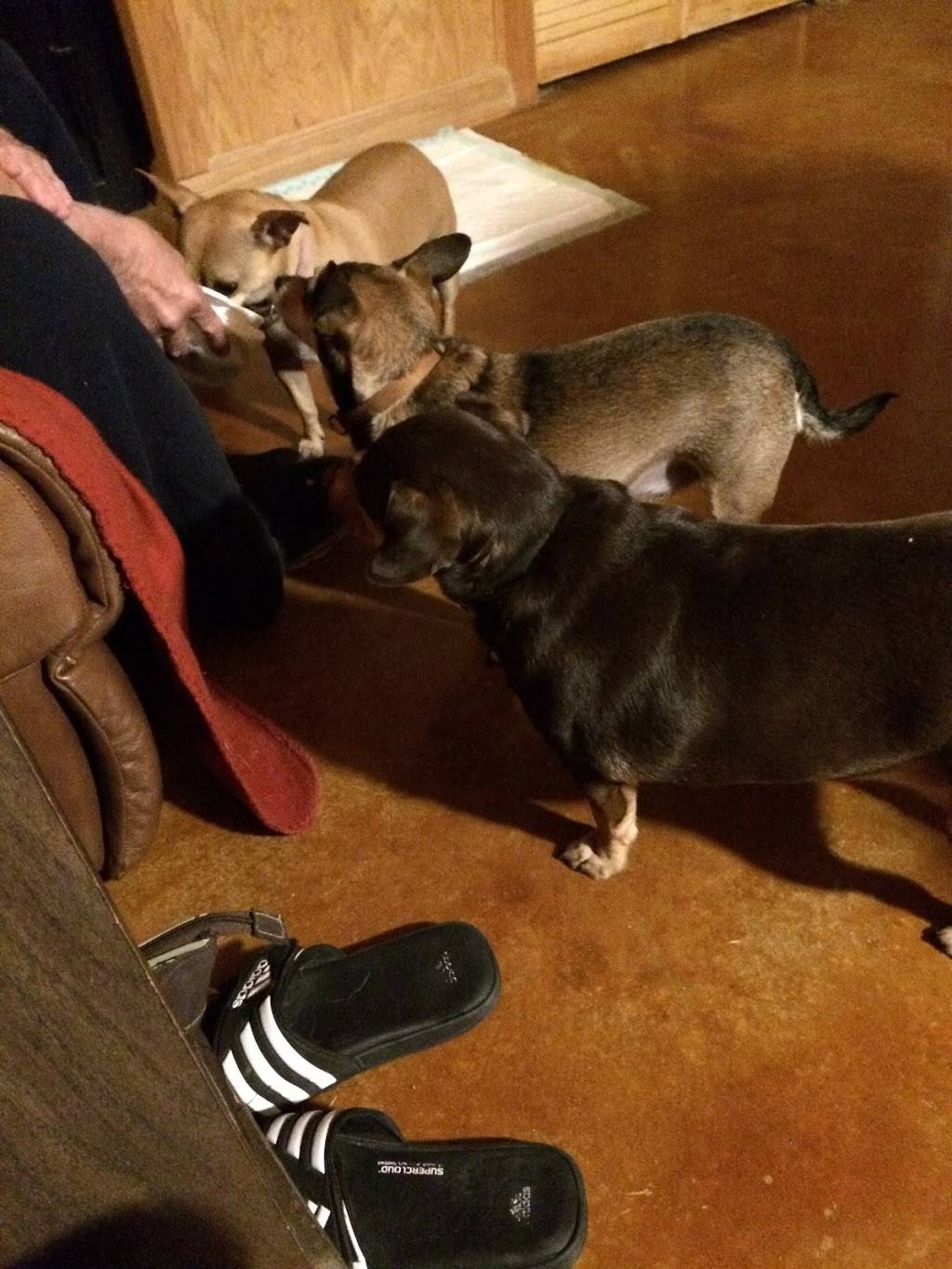 Subway | restaurant | 2444 W Loop 340, Waco, TX 76711, USA | 2546623220 OR +1 254-662-3220