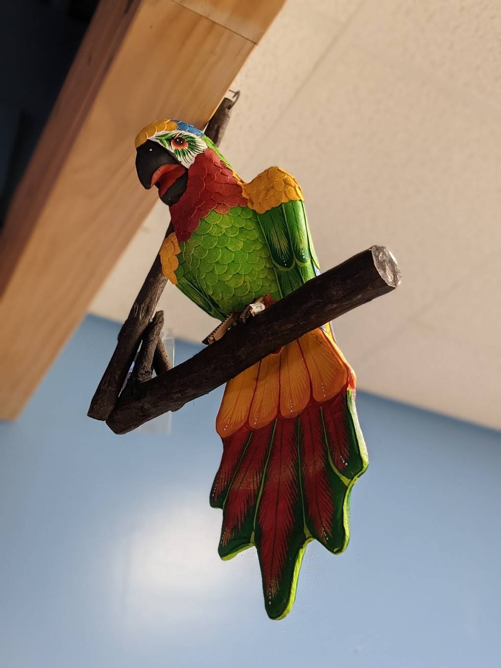 Sazón latín cuisine | restaurant | 2264 Harbor-Petoskey Rd, Petoskey, MI 49770, USA | 2318819222 OR +1 231-881-9222