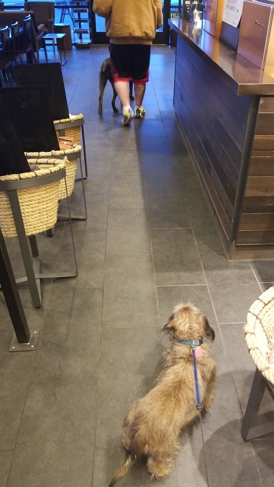 Starbucks | cafe | 2601 S Lemay Ave Ste 130, Fort Collins, CO 80525, USA | 9702236308 OR +1 970-223-6308