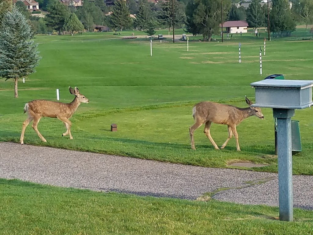 Hillcrest Golf Club | restaurant | 2300 Rim Dr, Durango, CO 81301, USA | 9702471499 OR +1 970-247-1499