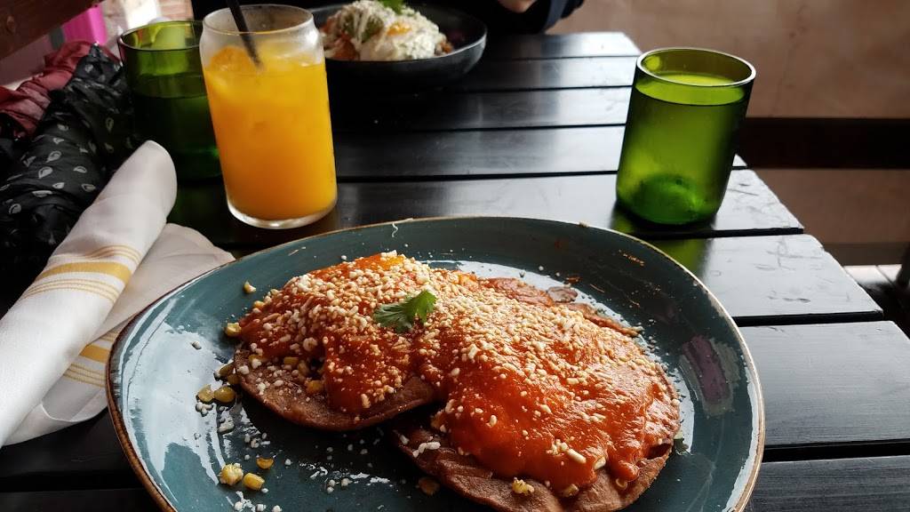 Burro Bar Brookline | restaurant | 1665 Beacon St, Brookline, MA 02445, USA | 6172770427 OR +1 617-277-0427