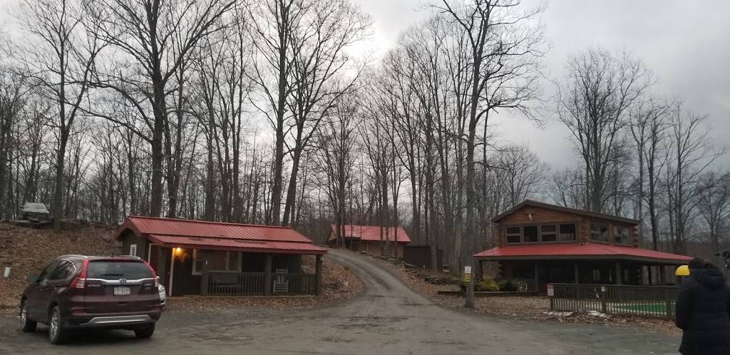 Lake Wanoka Resort And Family Campground - Honesdale | restaurant | 182 Ski Run Rd, Honesdale, PA 18431, USA | 5702530110 OR +1 570-253-0110