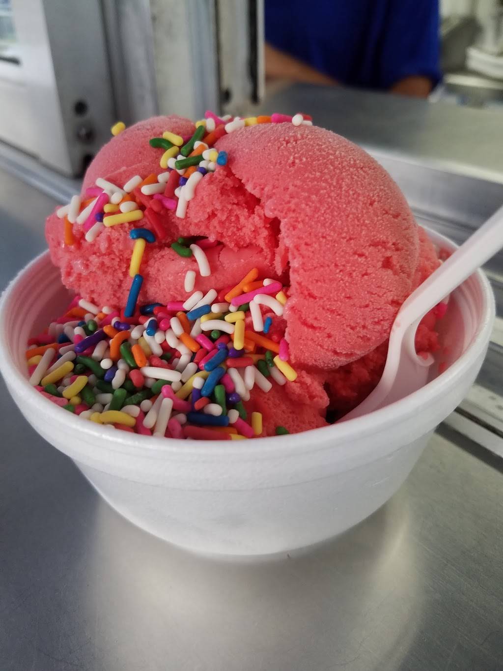Bos Ice Cream | restaurant | 7101 N Florida Ave, Tampa, FL 33604, USA | 8133029644 OR +1 813-302-9644