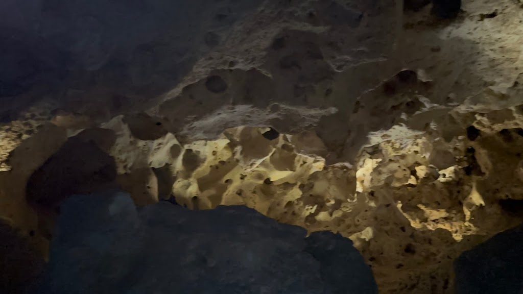 Carlsbad Caverns Underground Lunch Room | restaurant | 727 Carlsbad Cavern Hwy, Carlsbad, NM 88220, USA | 5057852232 OR +1 505-785-2232