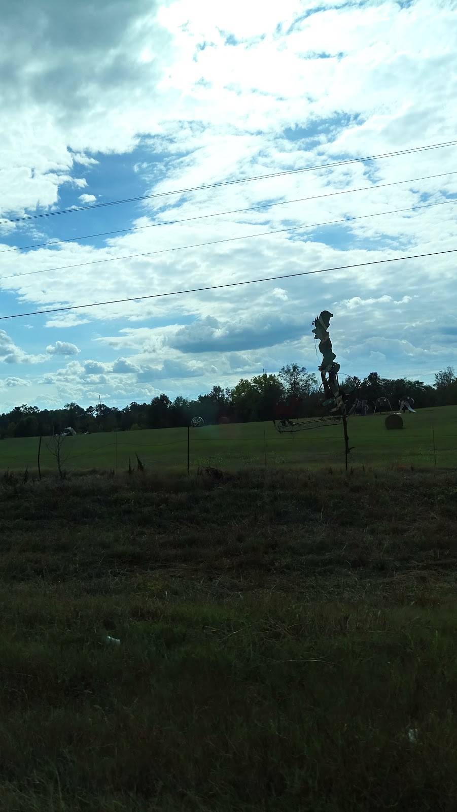 Mamies Fish House | restaurant | 14262 US-43, Forkland, AL 36740, USA | 3342872399 OR +1 334-287-2399