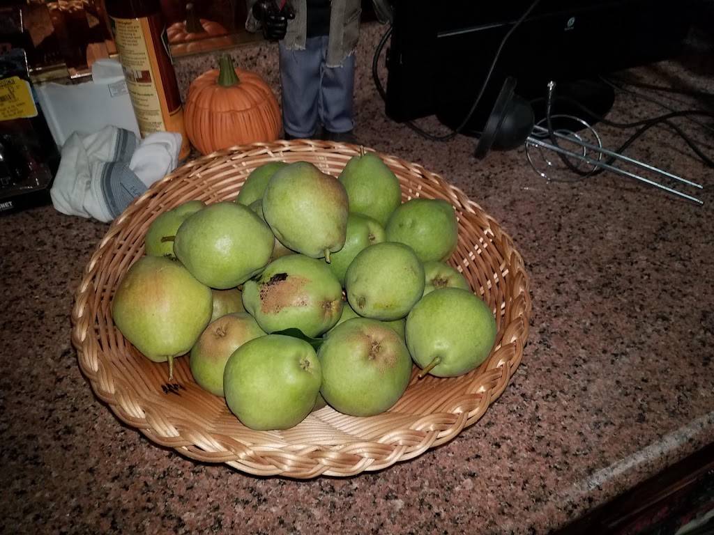 Annettis Pizzeria | restaurant | 4950 N Cumberland Ave, Norridge, IL 60706, USA | 7084561056 OR +1 708-456-1056