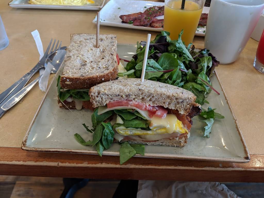 First Watch - Downtown Ft. Myers | restaurant | 2059 Altamont Ave, Fort Myers, FL 33901, USA | 2394619765 OR +1 239-461-9765