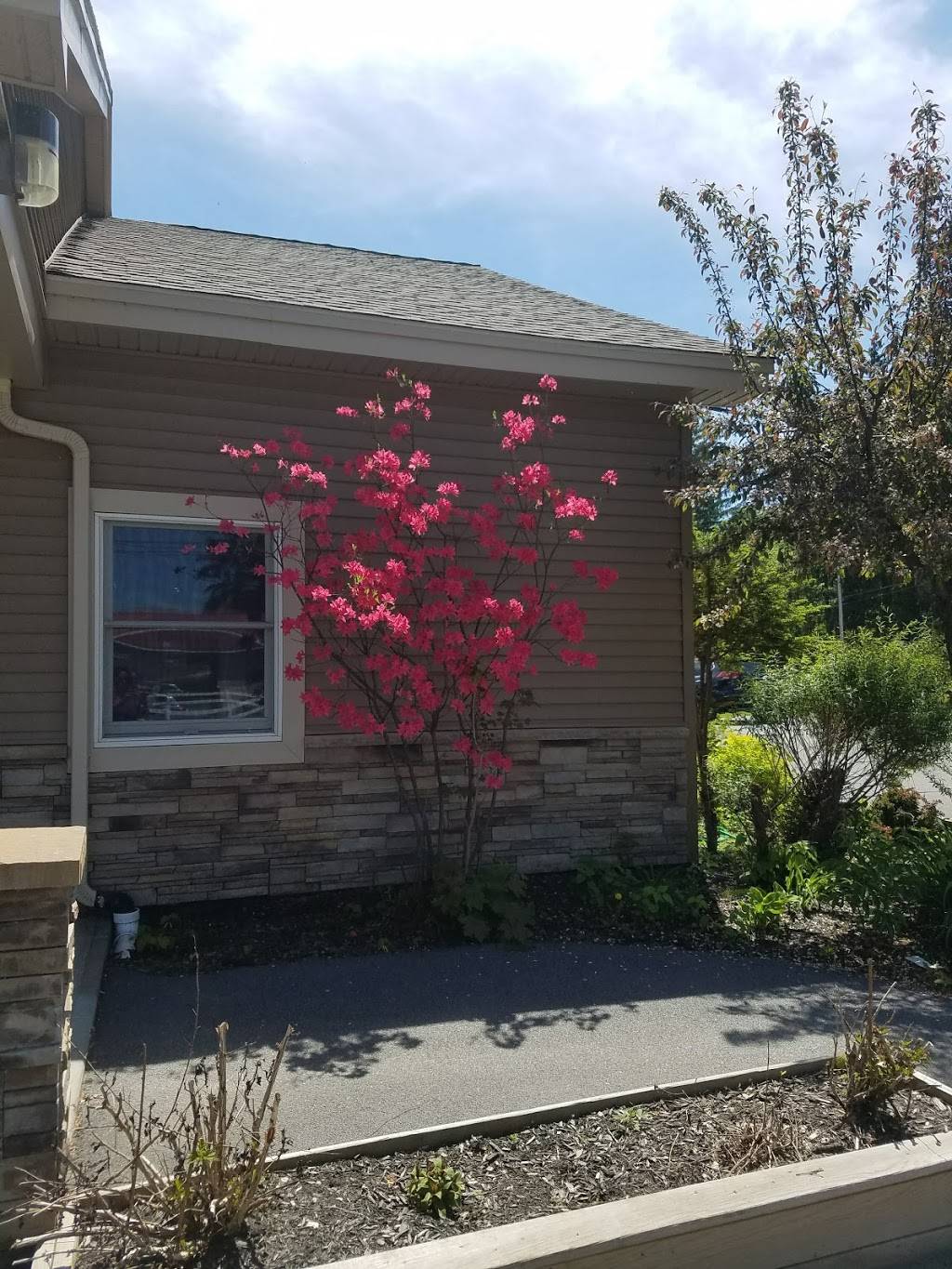 Schuylerville Pizza & Pasta | restaurant | 23 Spring St, Schuylerville, NY 12871, USA | 5186954500 OR +1 518-695-4500