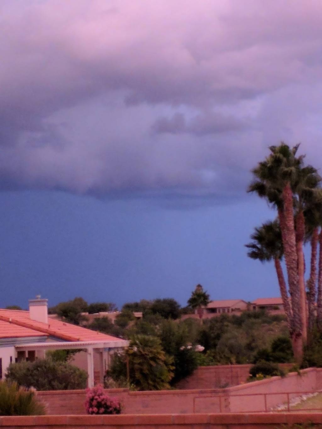 Los Agaves Restaurant | restaurant | 1451 S La Canada Dr, Green Valley, AZ 85622, USA | 5206252336 OR +1 520-625-2336