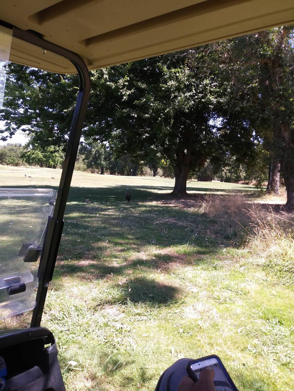 Haggin Oaks Golf Complex | restaurant | 3645 Fulton Ave, Sacramento, CA 95821, USA | 9164814653 OR +1 916-481-4653