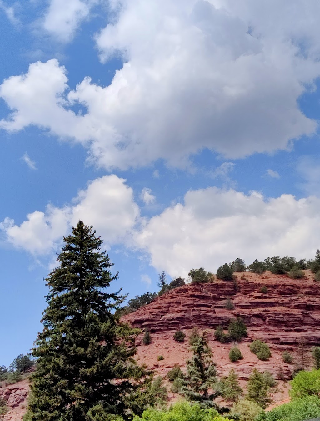 Sawpit Mercantile | restaurant | 20643 CO-145, Placerville, CO 81430, USA | 9707289898 OR +1 970-728-9898