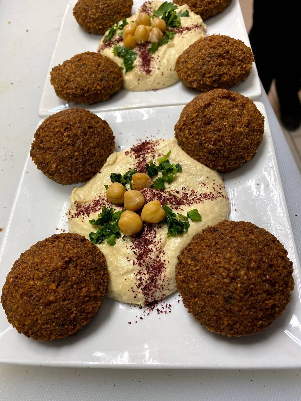 Al-Salam Grill | restaurant | 924 Levick St, Philadelphia, PA 19111, USA | 2159416367 OR +1 215-941-6367