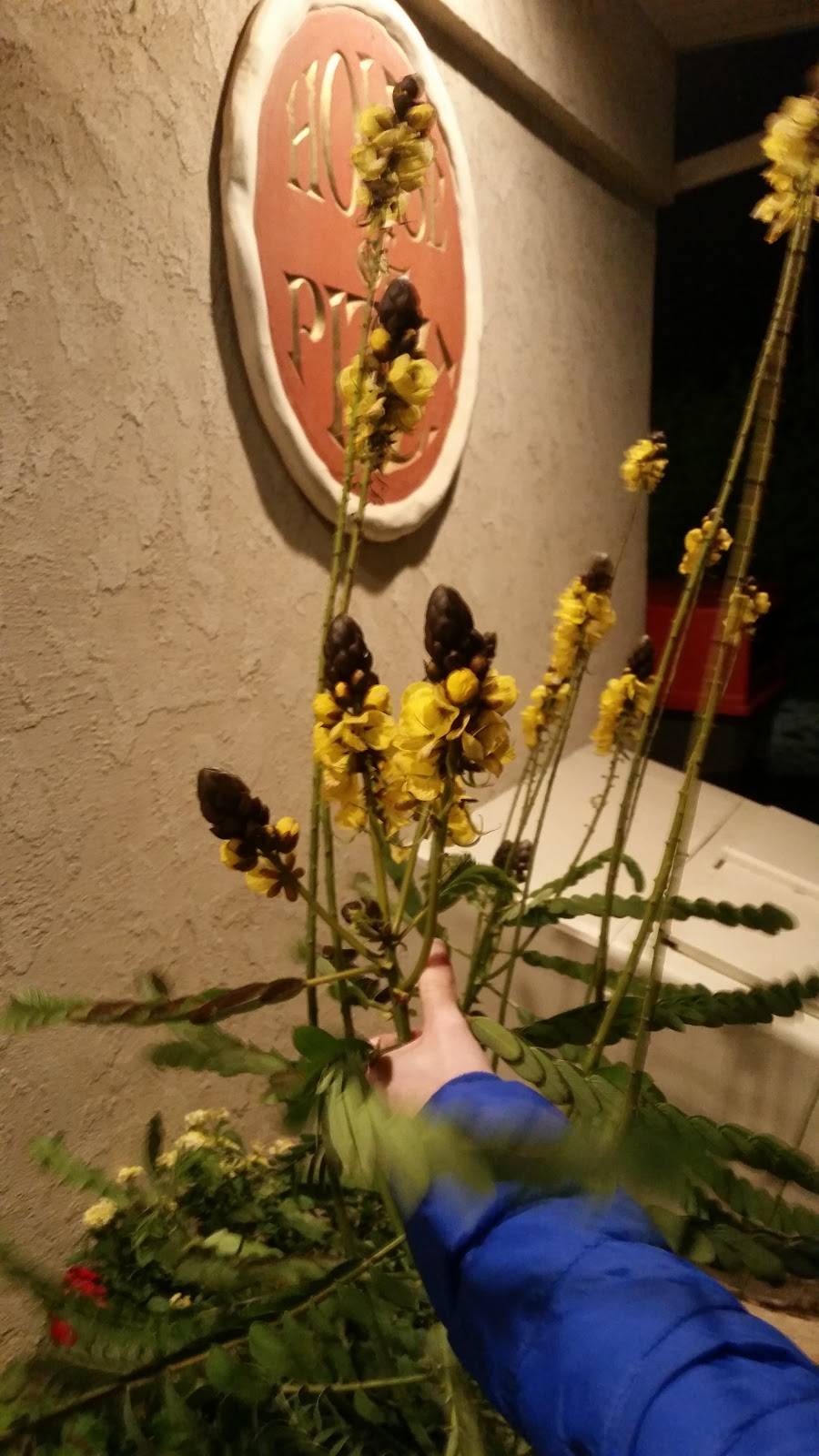 House of Pizza | restaurant | 2419 Willow Street Pike N, Willow Street, PA 17584, USA | 7174644949 OR +1 717-464-4949