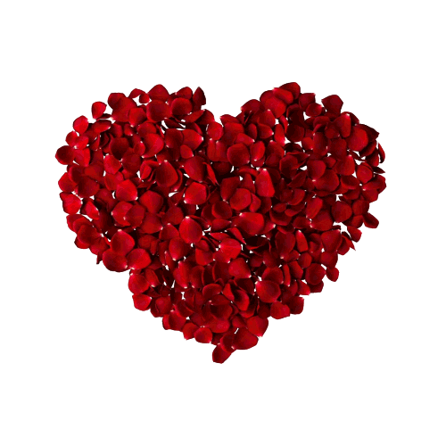 Steak City | restaurant | 6100 Wister Street, Philadelphia, PA 19138, USA | 2158491882 OR +1 215-849-1882