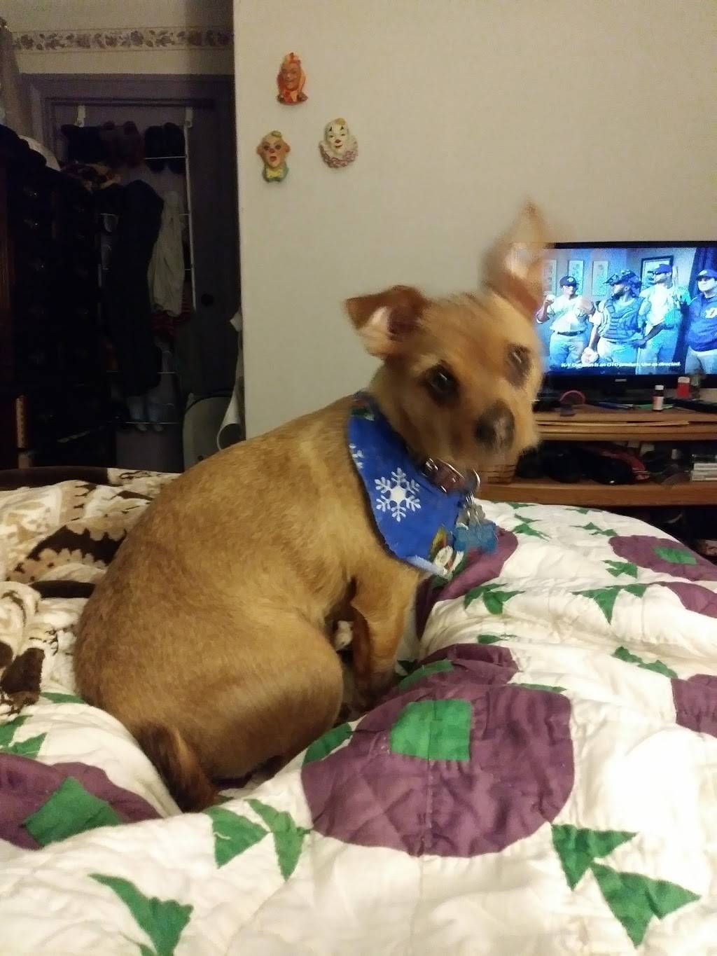 Cedar Valley Grocery | restaurant | 2560 New Park Rd, New Park, PA 17352, USA | 7173824337 OR +1 717-382-4337