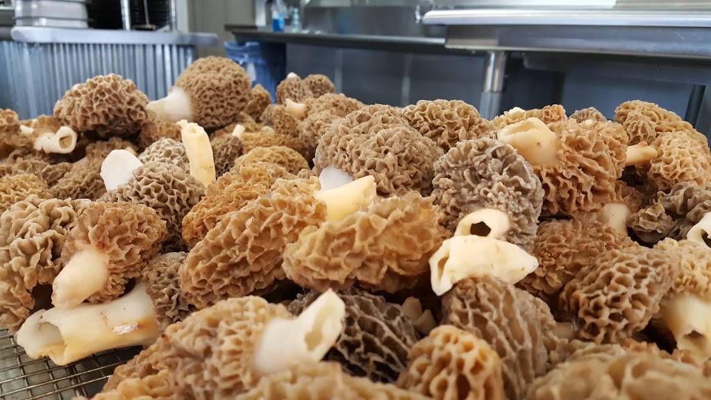 Revival Kitchen | restaurant | 64 S Main St, Reedsville, PA 17084, USA | 7176677932 OR +1 717-667-7932