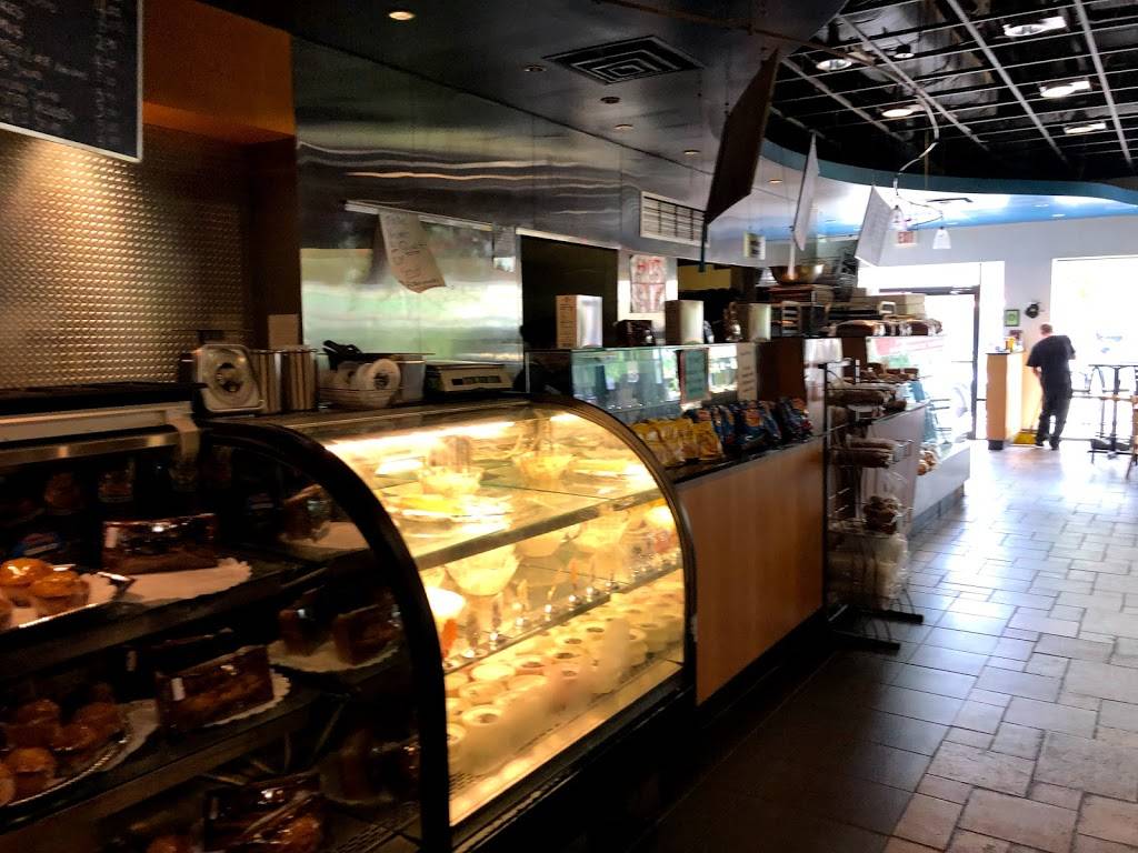 The Bagel Factory | bakery | 5885 Forbes Ave, Pittsburgh, PA 15217, USA | 4125218100 OR +1 412-521-8100