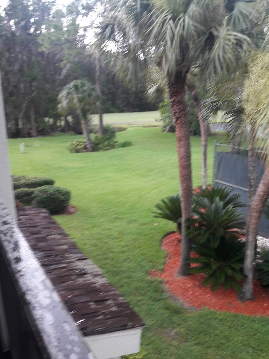 Tropics Restaurant | restaurant | 5700 Saddlebrook Way, Wesley Chapel, FL 33543, USA | 8139731111 OR +1 813-973-1111