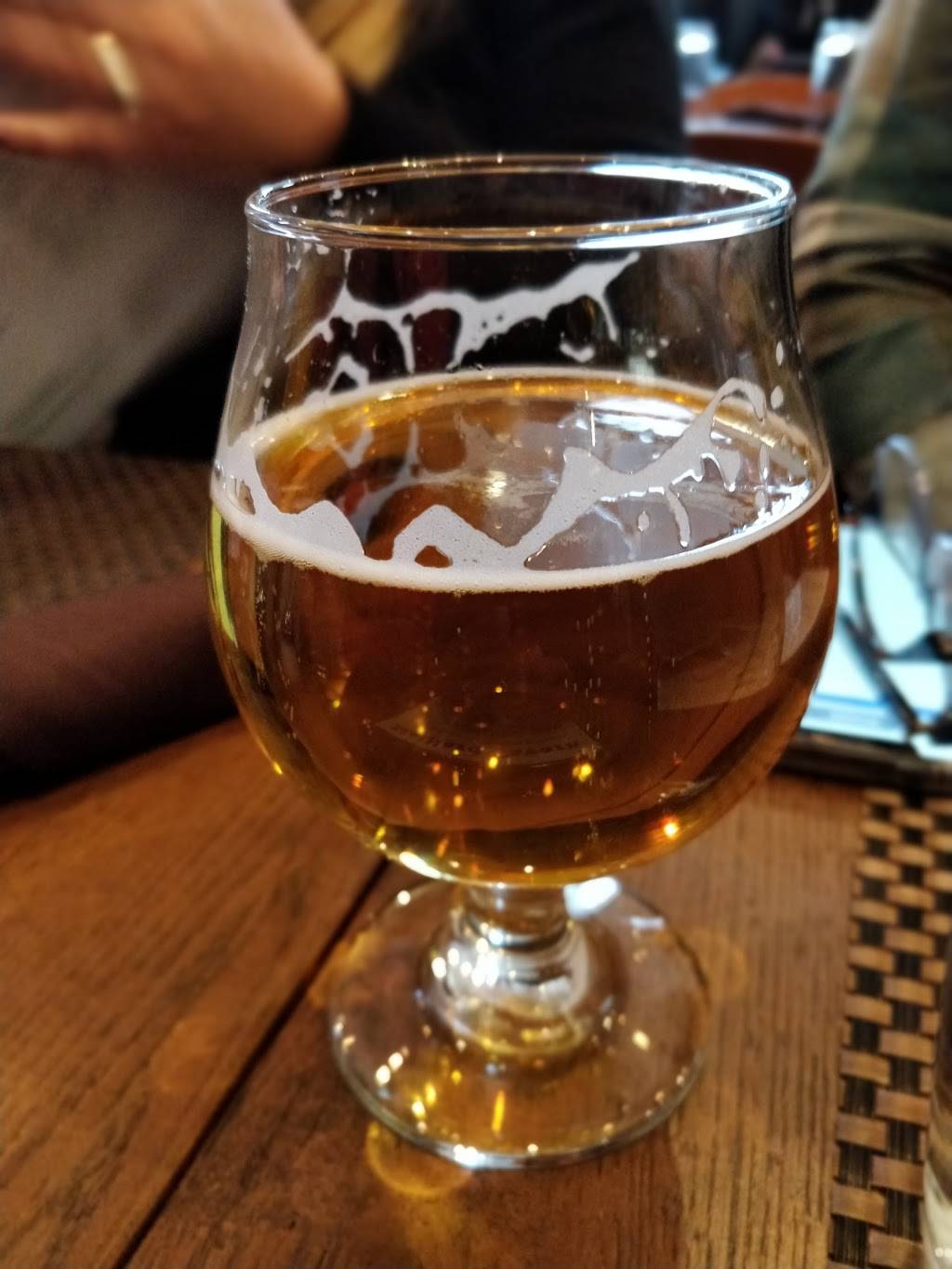 Emmits Irish Pub | restaurant | 495 N Milwaukee Ave, Chicago, IL 60654, USA | 3125639631 OR +1 312-563-9631