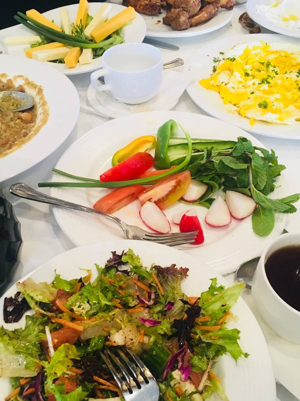 Habibs Cuisine, Inc. | restaurant | 14316 Michigan Ave, Dearborn, MI 48126, USA | 3135841515 OR +1 313-584-1515