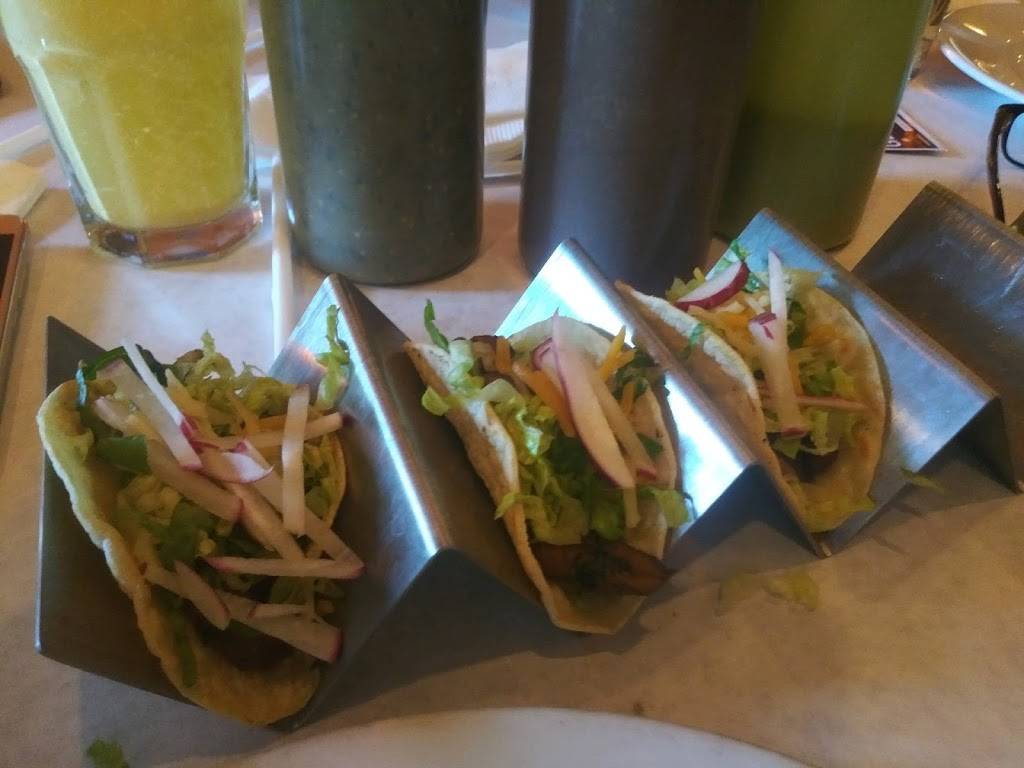 Manas Indian Cuisine | restaurant | 2823 S Vermont Ave, Los Angeles, CA 90007, USA | 3237314333 OR +1 323-731-4333