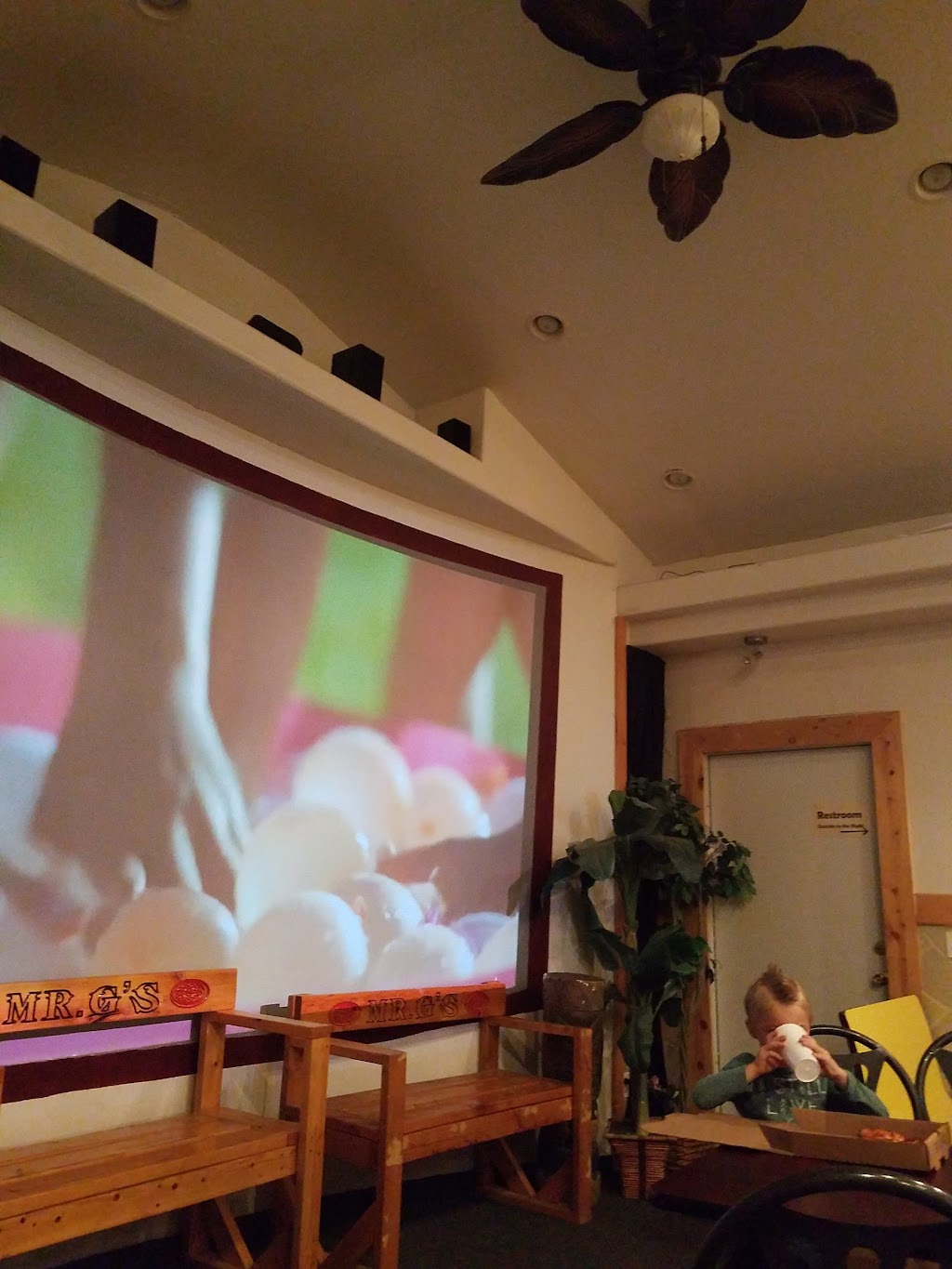 Mr. Gs Pizza | meal takeaway | 4552 2nd N Ave, Joseph City, AZ 86032, USA | 9282883973 OR +1 928-288-3973