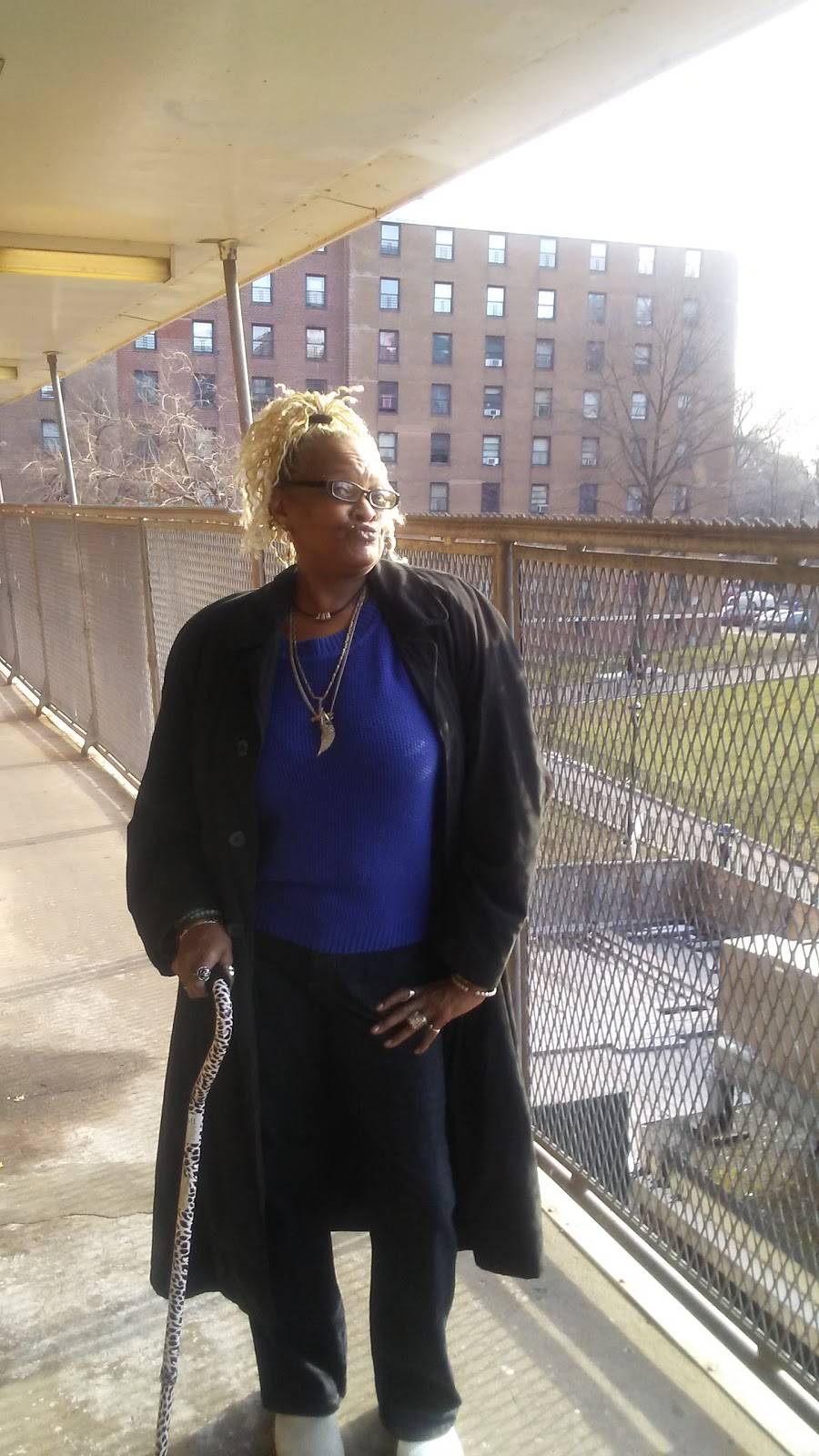 Chieng Garden Kitchen | restaurant | 183 Broad St, Staten Island, NY 10304, USA | 7184428271 OR +1 718-442-8271