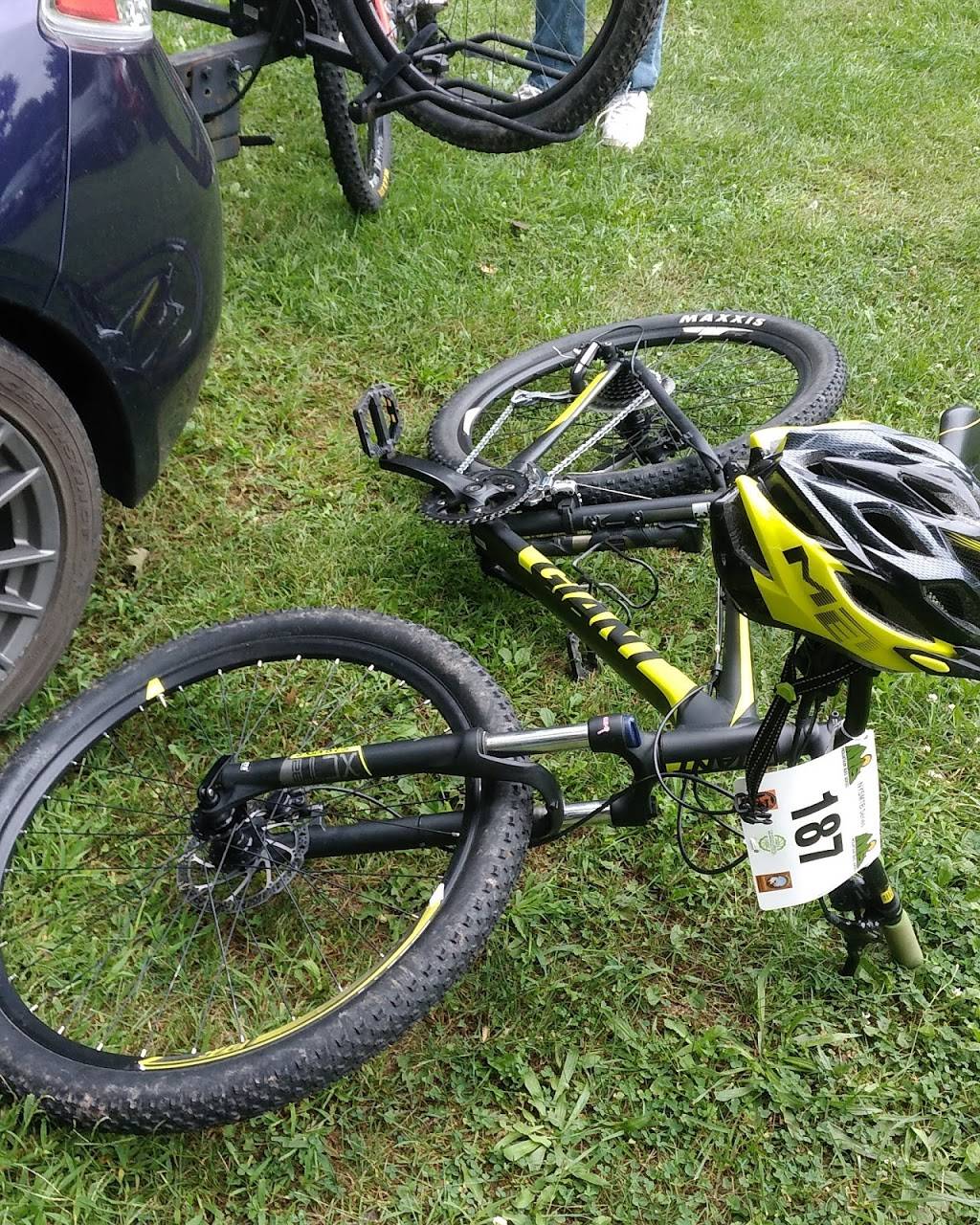 Nussys | restaurant | 57 Ravine Dr, Round Top, NY 12473, USA | 5186229584 OR +1 518-622-9584