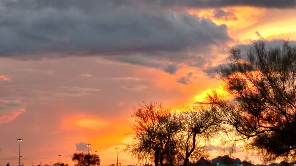 Culvers | restaurant | 3070 S Campbell Ave, Tucson, AZ 85713, USA | 5208824422 OR +1 520-882-4422