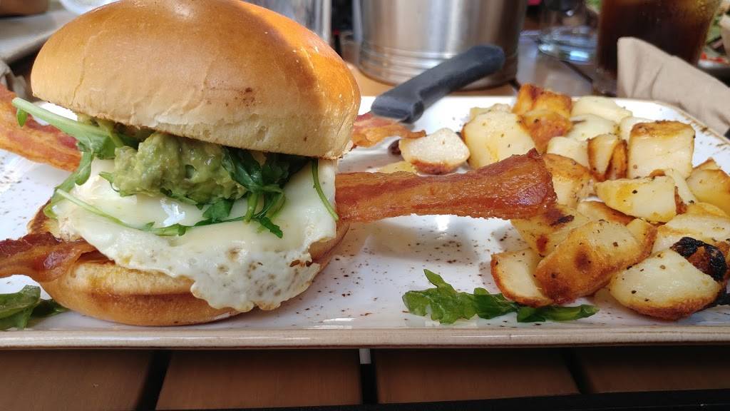 First Watch - Hermitage | restaurant | 3879 Lebanon Pike, Hermitage, TN 37076, USA | 6153911730 OR +1 615-391-1730