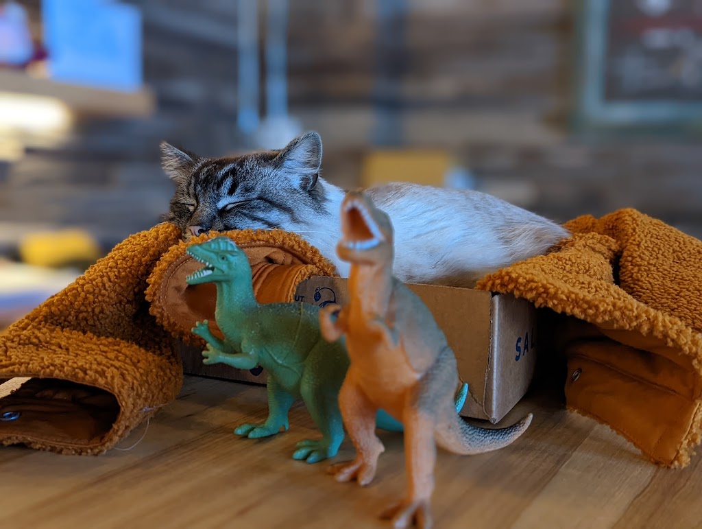 SaltFire Brewing Co. | restaurant | 2199 S W Temple St, South Salt Lake, UT 84115, USA | 3859550504 OR +1 385-955-0504