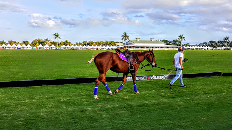 National Polo Center | restaurant | 3667 120th Ave S, Wellington, FL 33414, USA | 5612045687 OR +1 561-204-5687