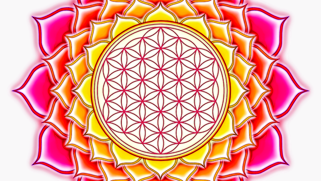 Aroma Indian Restaurant West Palm Beach | restaurant | 731 Village Blvd Suite #110, West Palm Beach, FL 33409, USA | 5616196437 OR +1 561-619-6437