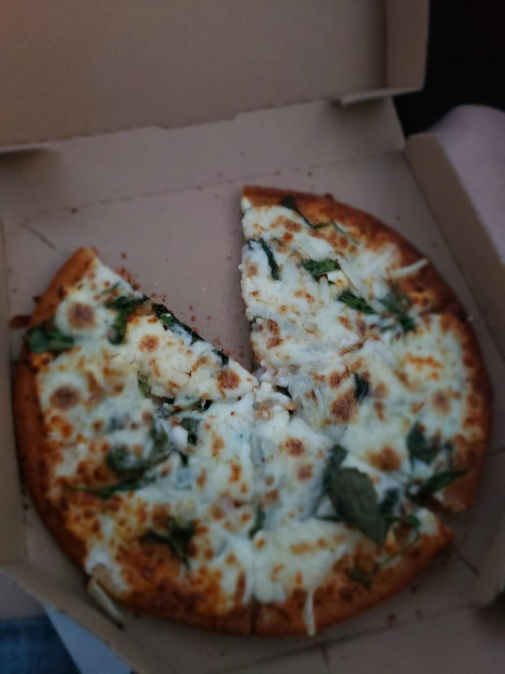 Dominos Pizza | meal delivery | 840 S State St Suite A2, Big Rapids, MI 49307, USA | 2317965813 OR +1 231-796-5813