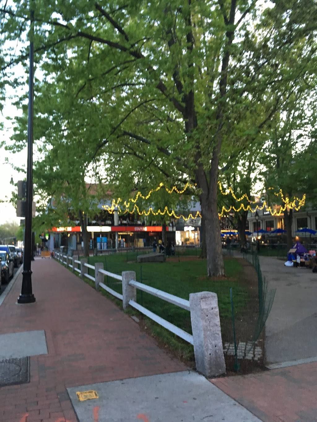 Falafel Corner | restaurant | 8 Eliot St, Cambridge, MA 02138, USA | 6174418888 OR +1 617-441-8888