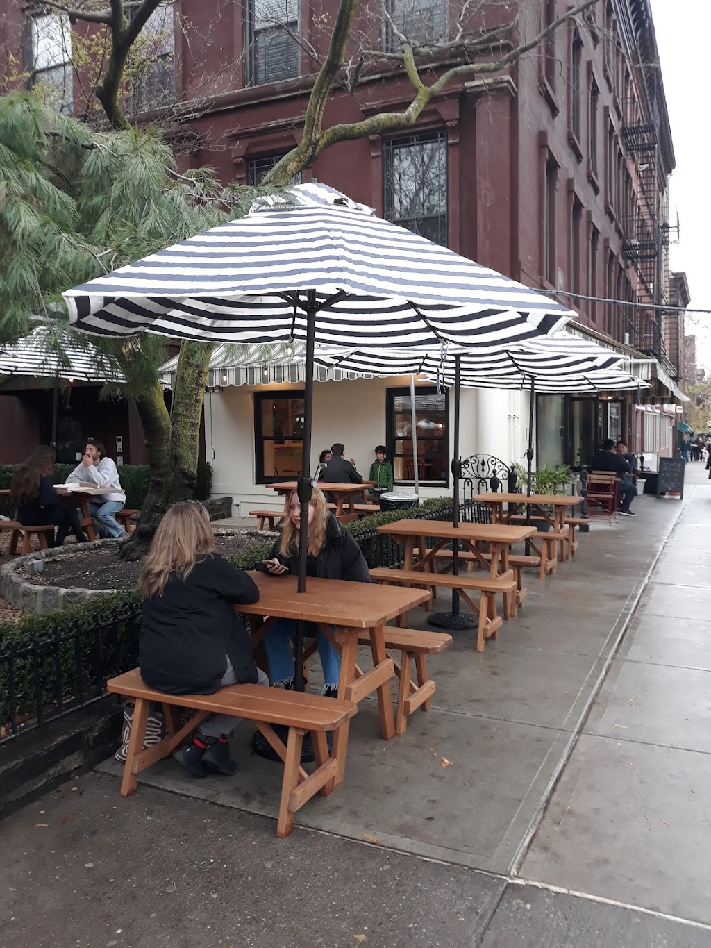 Baby Lucs | restaurant | 387 Court St, Brooklyn, NY 11231, USA | 7185048181 OR +1 718-504-8181