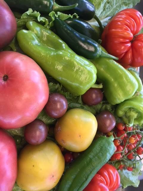 Bs Tacos | restaurant | 2 Mohawk Dr, Londonderry, NH 03053, USA | 6035056485 OR +1 603-505-6485