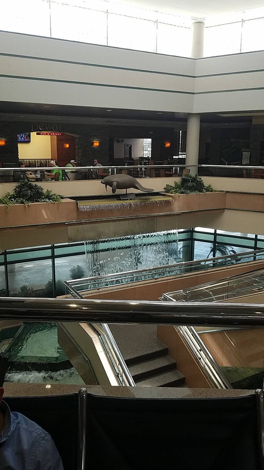 Dunkin | cafe | 6000 Airport Cir, Sarasota, FL 34243, USA | 9413586572 OR +1 941-358-6572