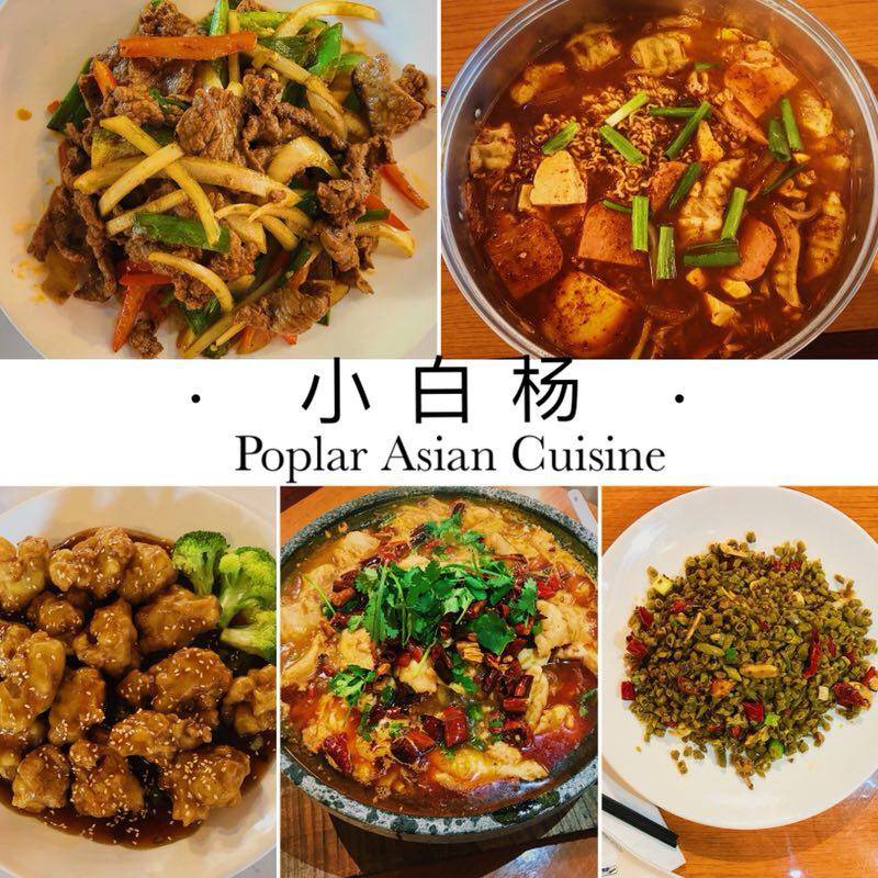 Poplar Asian Cuisine | restaurant | 20 S Poplar St, Oxford, OH 45056, USA | 5132806201 OR +1 513-280-6201