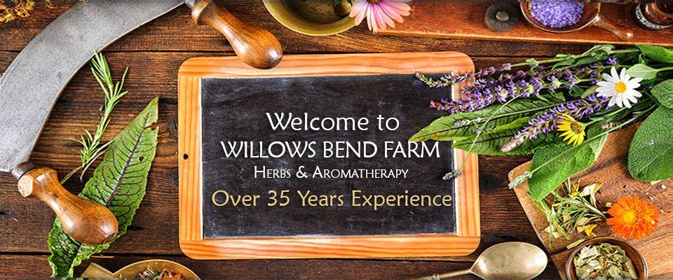 Willows Bend Farm Herbs & Aromatherapy | restaurant | 20413 Carson Rd, Dinwiddie, VA 23841, USA | 8048927588 OR +1 804-892-7588