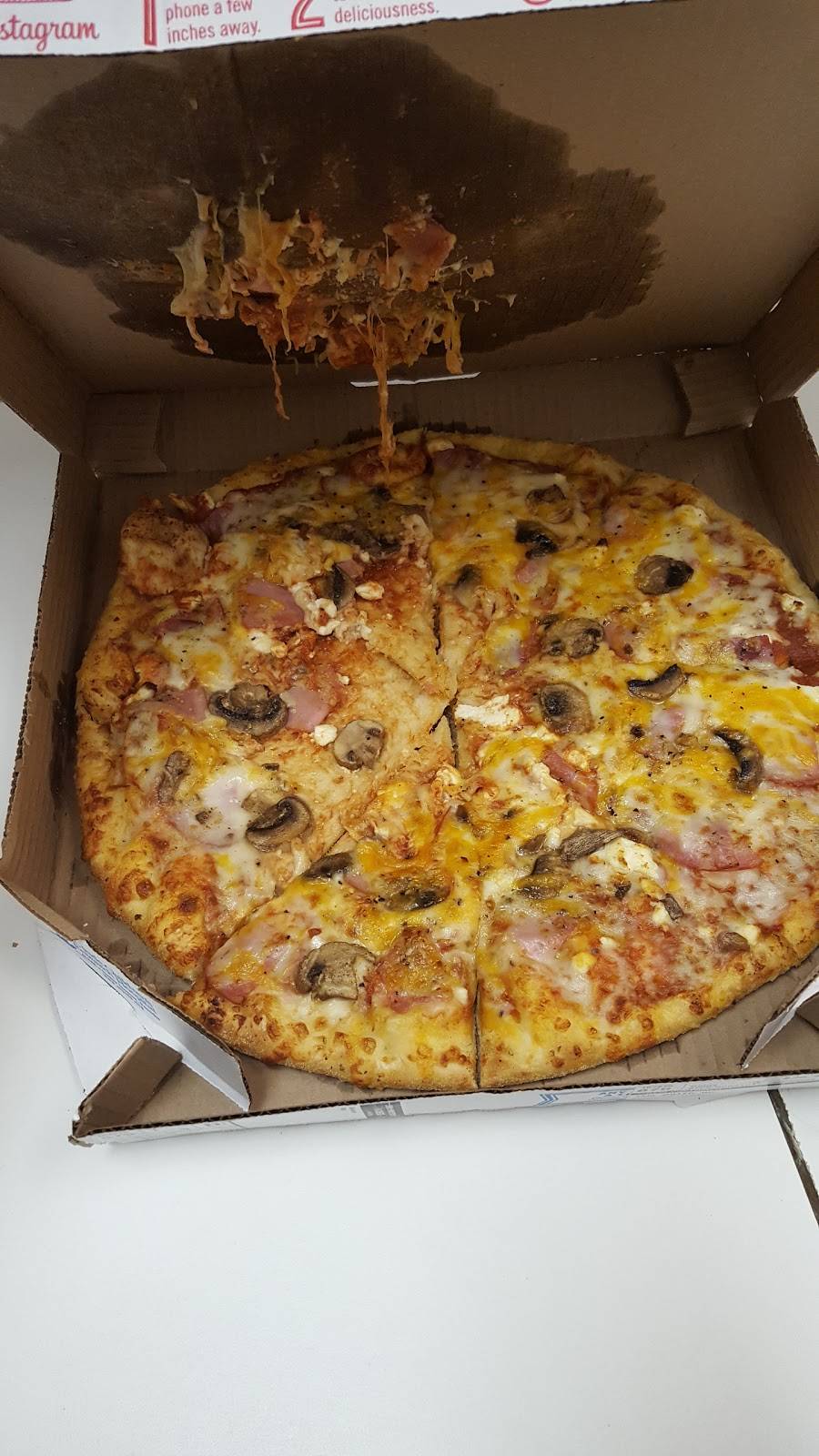 Dominos Pizza | meal delivery | 2113 S Ballenger Hwy, Flint, MI 48503, USA | 8103411111 OR +1 810-341-1111