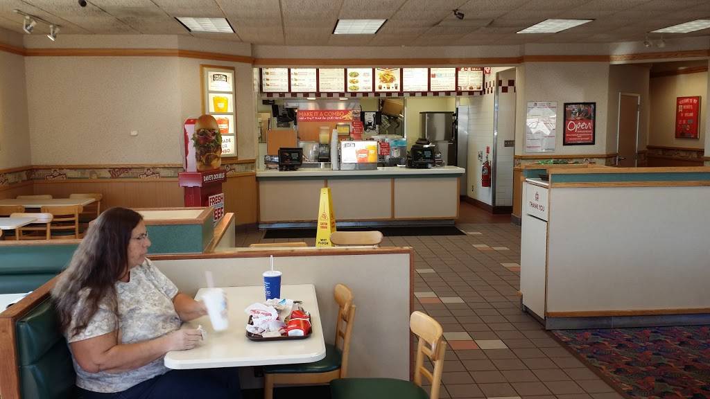 Wendys | restaurant | 250 N River Ave, Holland, MI 49424, USA | 6169280071 OR +1 616-928-0071
