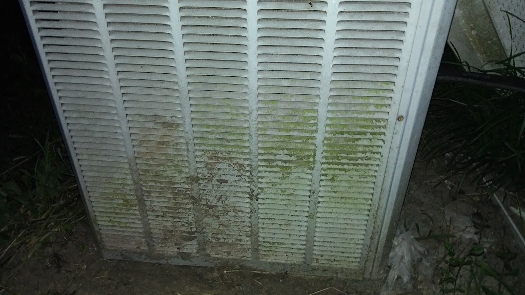 CritterRunners | restaurant | 3115 FM1942, Crosby, TX 77532, USA | 2814263741 OR +1 281-426-3741