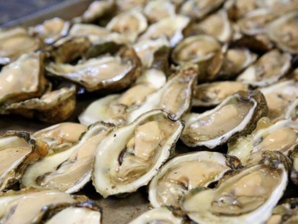 City Island Seafood Shack | restaurant | 2049 Williamsbridge Rd, The Bronx, NY 10462, USA | 9293713252 OR +1 929-371-3252