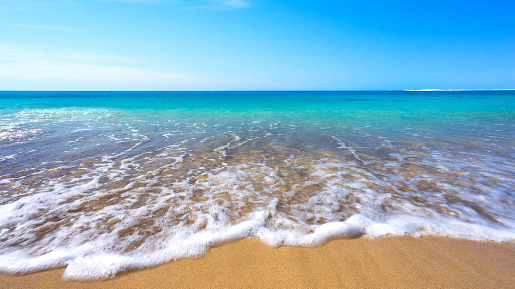 Diegos Mexican Restaurant & Cantina | restaurant | N1481 WI-57, Random Lake, WI 53075, USA | 9209949999 OR +1 920-994-9999