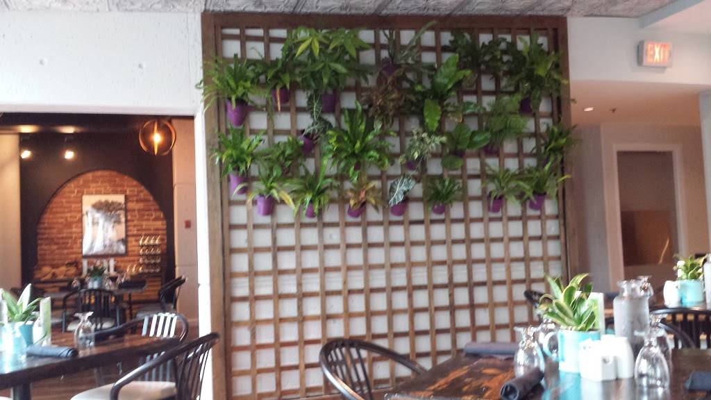 The Greenhouse Café | cafe | 680 Plains Rd W, Burlington, ON L7T 4H4, Canada | 9055271158 OR +1 905-527-1158