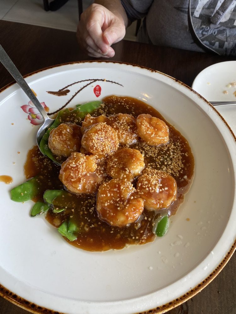 Orient Odyssey | restaurant | 511 N Broadway, Jericho, NY 11753, USA | 5167190021 OR +1 516-719-0021