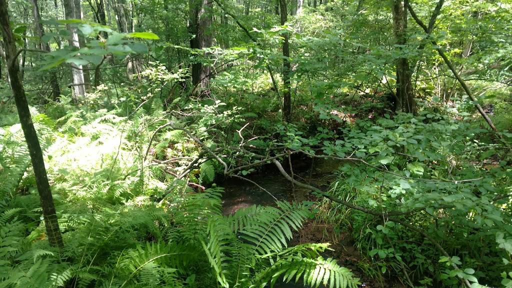 Manchester Country Club | restaurant | 305 S Main St, Manchester, CT 06040, USA | 8606460103 OR +1 860-646-0103