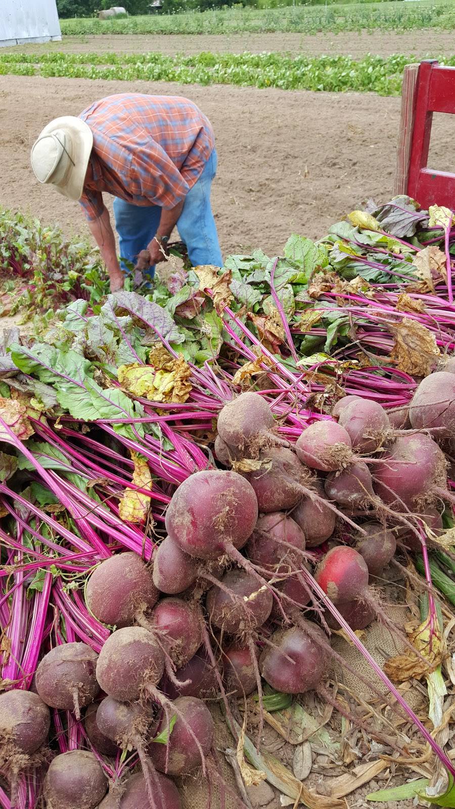 Stahlmans at Bear Creek-Grocery and Pecans | restaurant | 5511 FM 2722, New Braunfels, TX 78132, USA | 8305153658 OR +1 830-515-3658